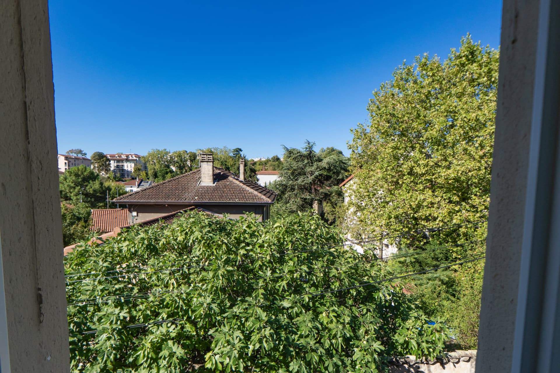Suite n°4 – vue paisible végétation depuis la fenêtre